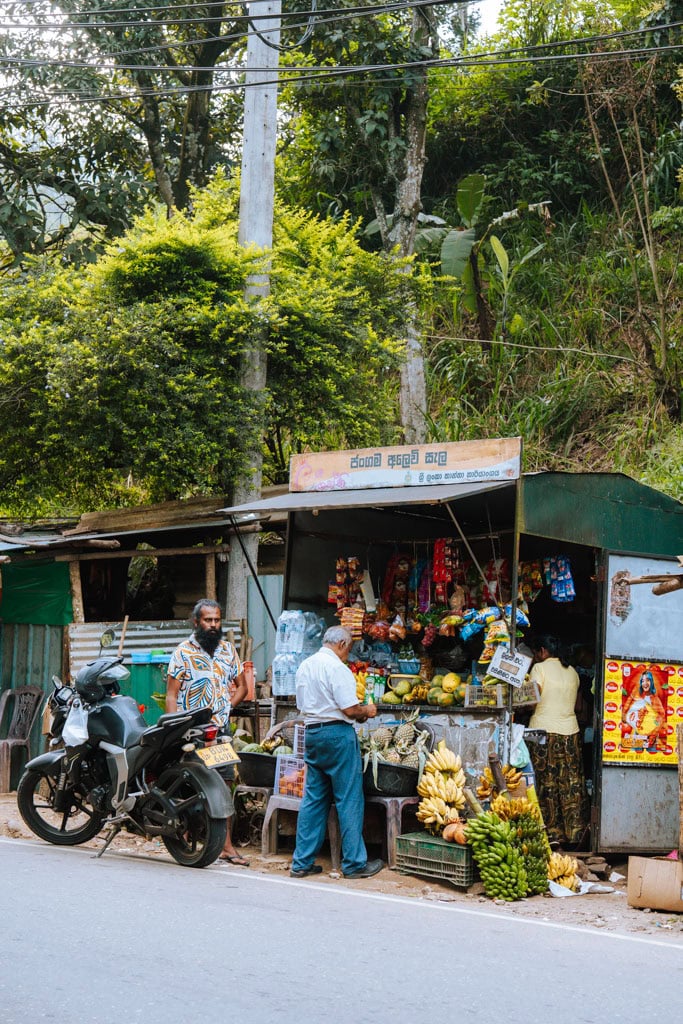 Beste reistijd voor Sri Lanka rondreis