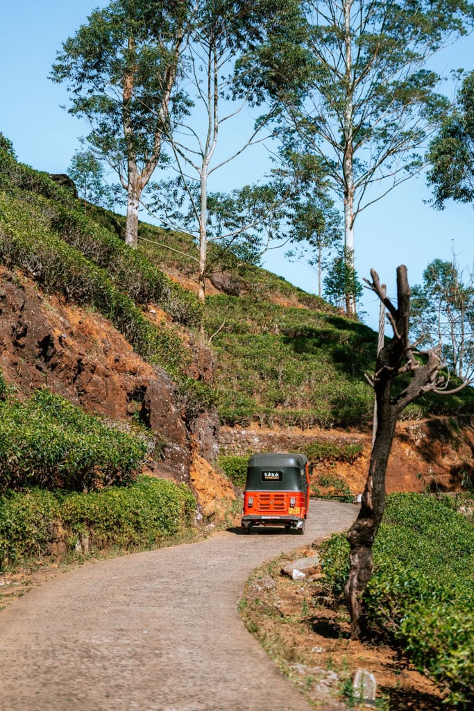 Reisroute Sri Lanka 2 tot 3 weken - Nuwara Eliya