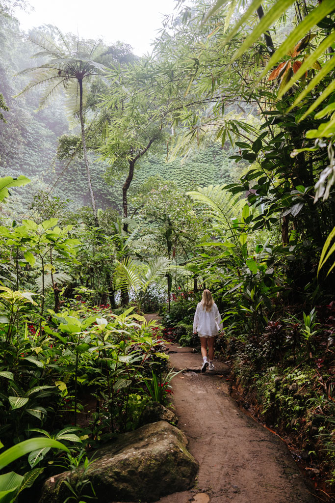 Tips wat te doen in Munduk op Bali 
