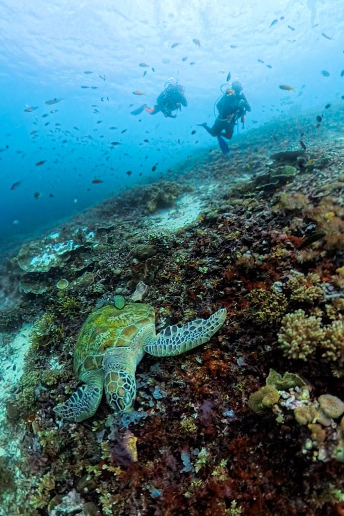 Tips duiken Kri Raja Ampat