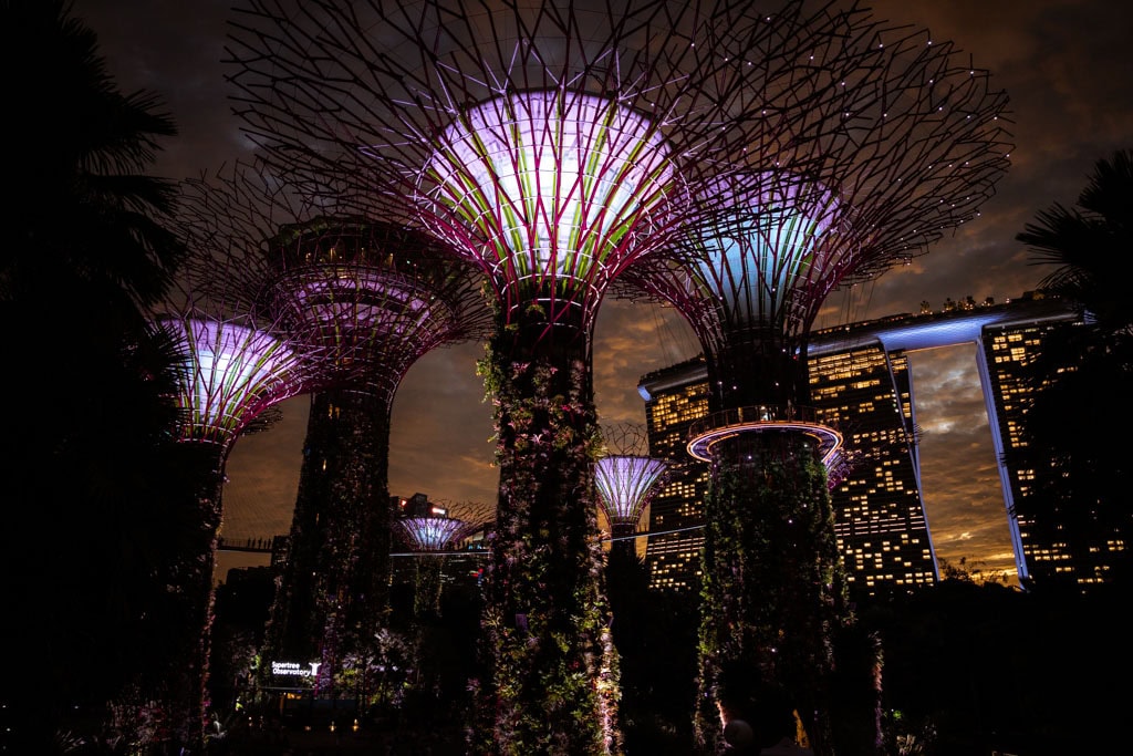 Tips voor Singapore: lichtshow Gardens by the Bay 