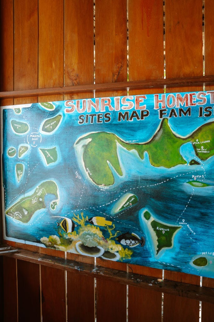 Snorkelen en duiken Raja Ampat op Fam eiland