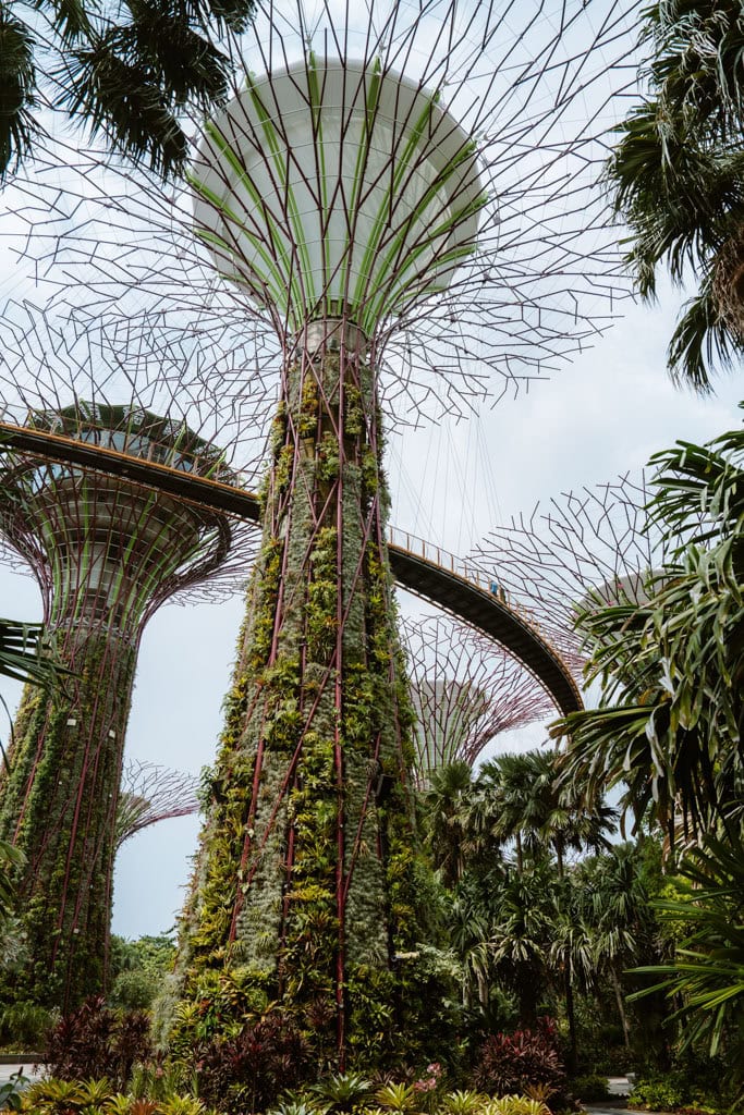 Supertree Grove in Singapore - tips om te doen