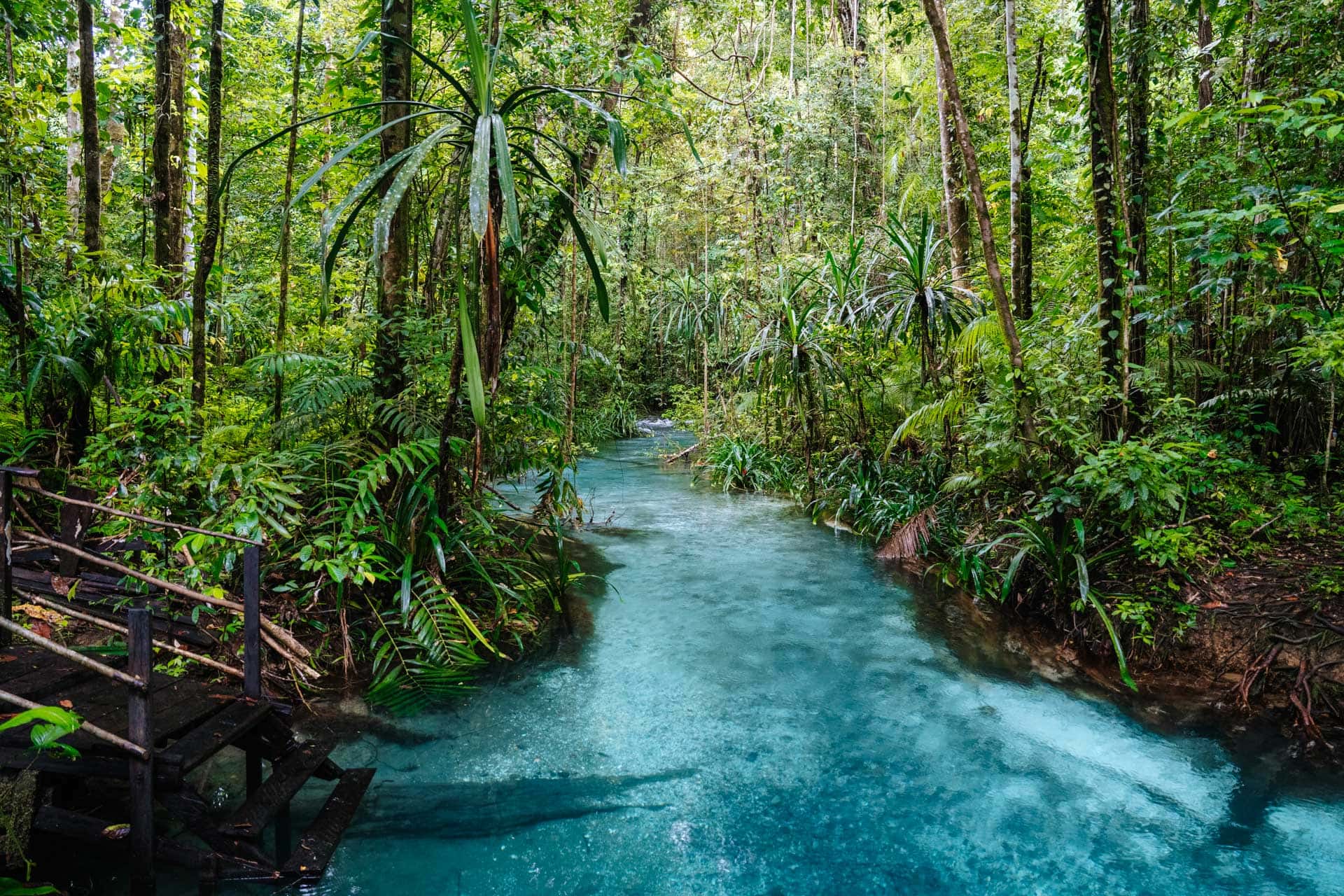Tips voor Waigeo Island in Raja Ampat: Kali Biru bezoeken en paradijsvogel spotten