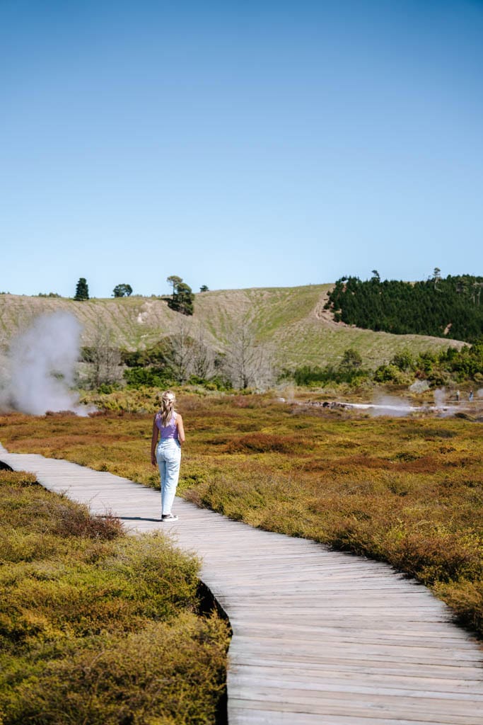 Tips Lake Taupo: craters of the moon