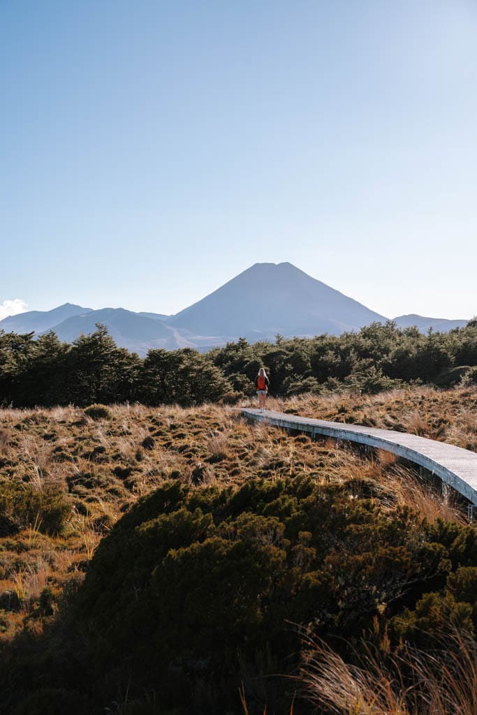 Makkelijke wandeling Tongariro National Park Nieuw-Zeeland