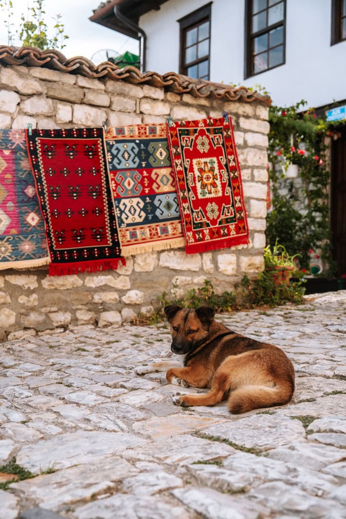 Praktische tips roadtrip albanie