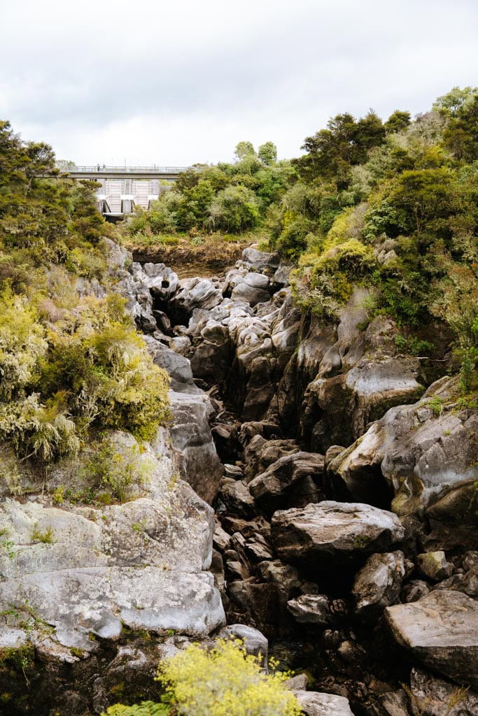 Wat te doen Taupo: Aratiatia Rapids