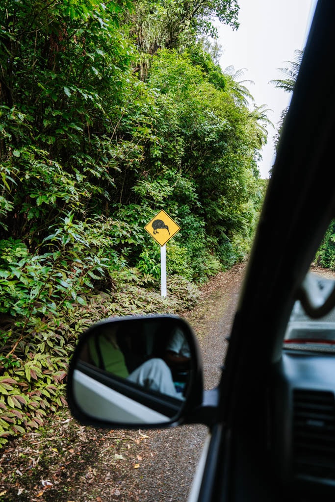 Een unieke tip om te doen in New Plymouth is op zoek te gaan naar een kiwi in Rotokare Scenic Reserve