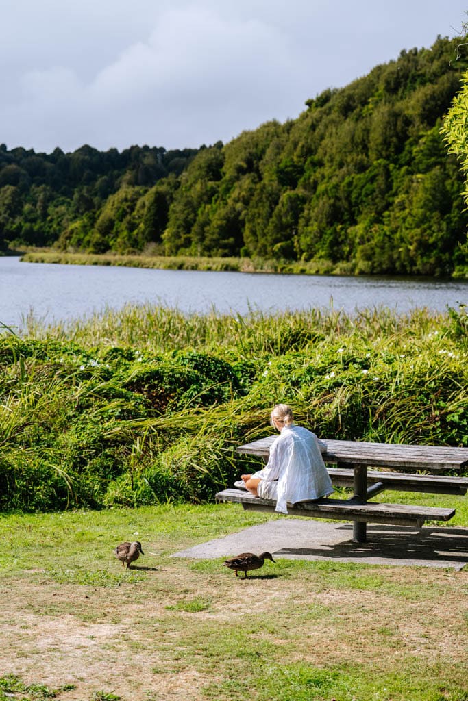 Een unieke tip om te doen in New Plymouth is op zoek te gaan naar een kiwi in Rotokare Scenic Reserve