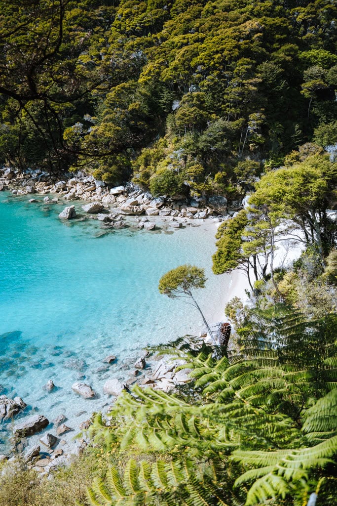 Tips voor de mooiste wandelingen Abel Tasman NP