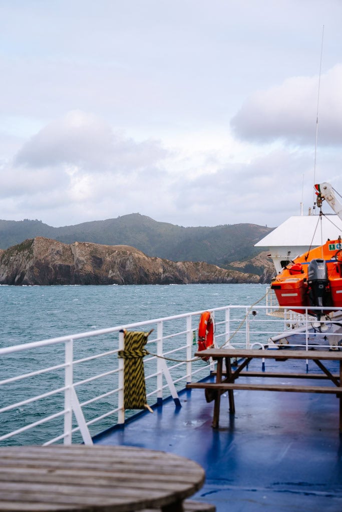 Met de ferry van het noordereiland naar het zuidereiland tijdens roadtrip door Nieuw-Zeeland