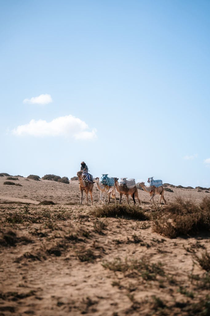 Tips Marokko reis met Morocco Nomads