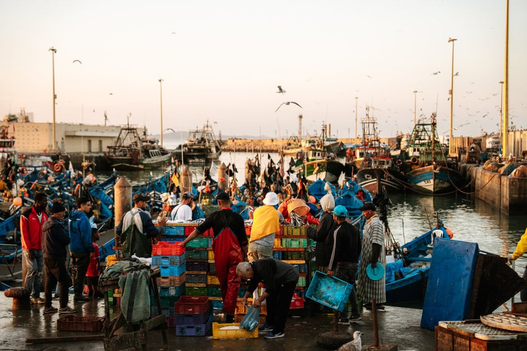 Haven in Essaouira in Marokko 
