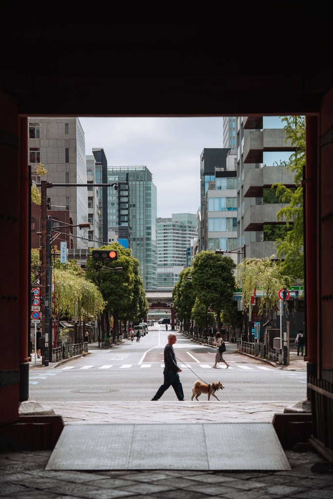 Tips voor de meest centrale wijken in Tokyo 