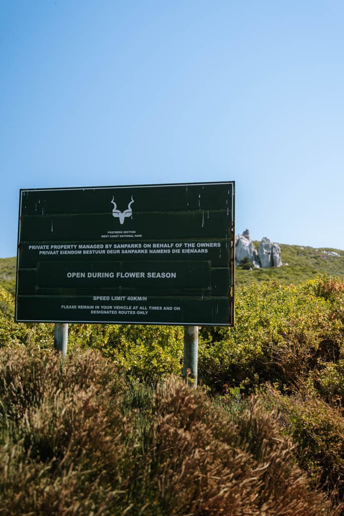 Praktische tips West Coast National Park bezoeken in Zuid-Afrika 