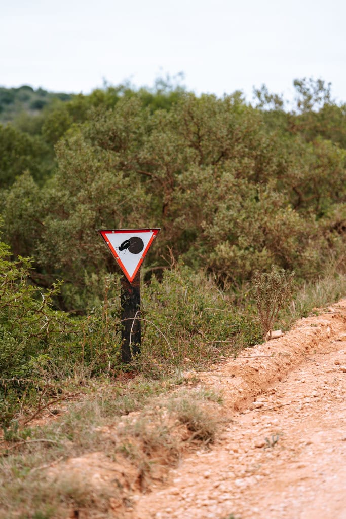 Tips Addo Elephant NP bezoeken 