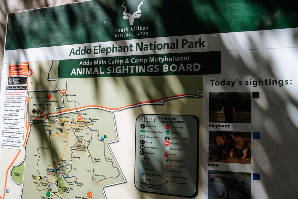 Praktische tips Addo Elephant NP bezoeken 