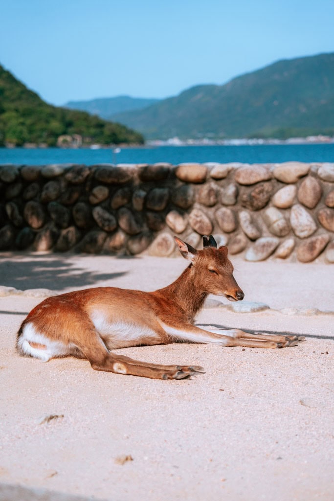 Tips Miyajima eiland Japan