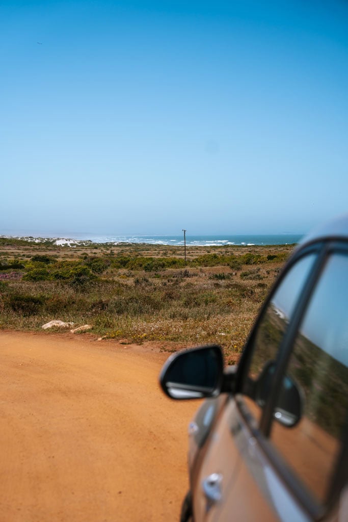 Mooiste plekken en tips West Coast National Park 