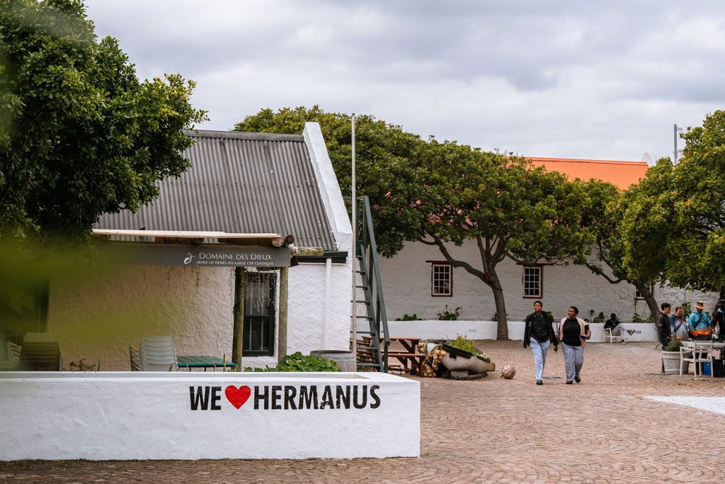 Tips om te doen in Hermanus in Zuid-Afrika 