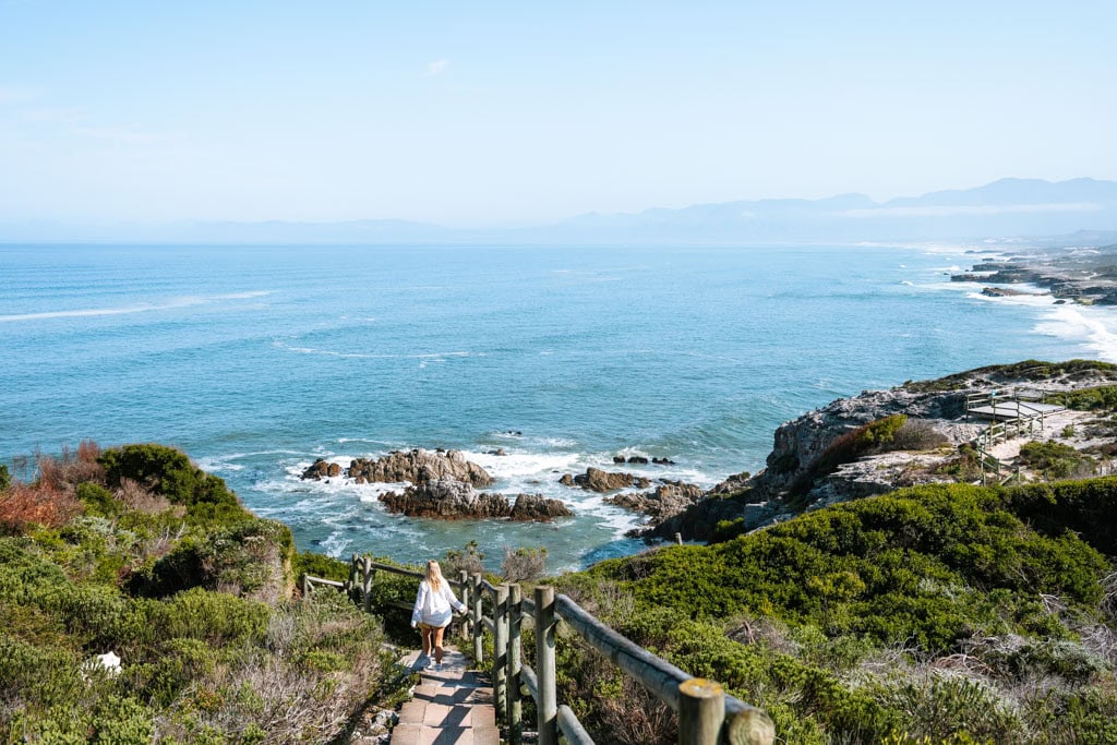 Ontdek het onbekende Walker Bay Nature Reserve