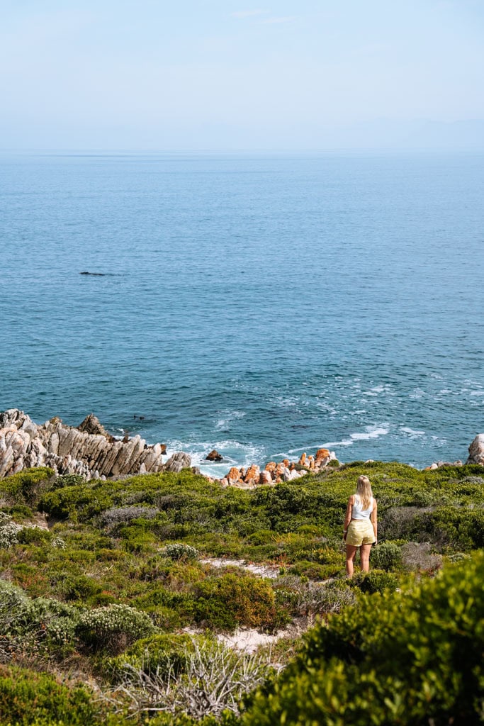 Doen in Hermanus: vanuit Gansbaai walvissen spotten vanaf de kant