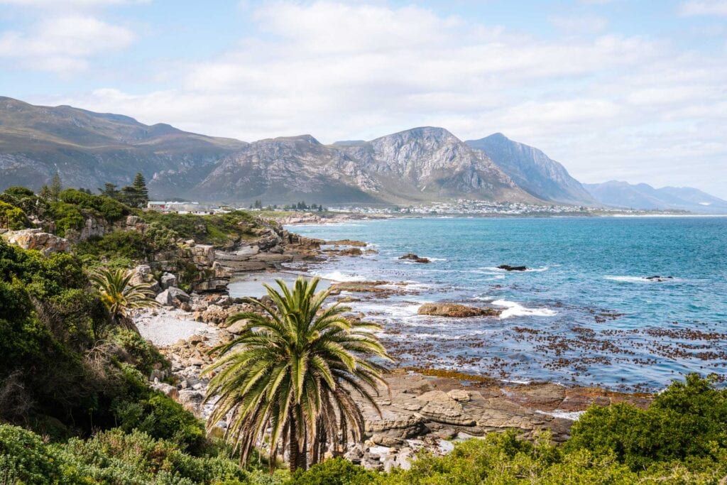 Wat te doen in Hermanus in Zuid-Afrika? Tips en bezienswaardigheden
