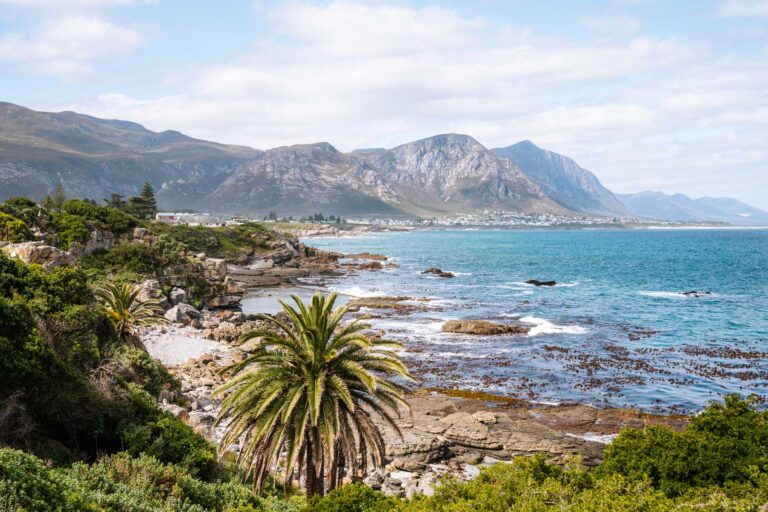 Wat te doen in Hermanus in Zuid-Afrika? Tips en bezienswaardigheden