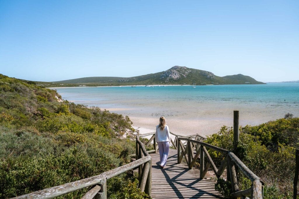 West Coast National Park bezoeken in Zuid-Afrika: tips, mooiste plekken en bloemenvelden