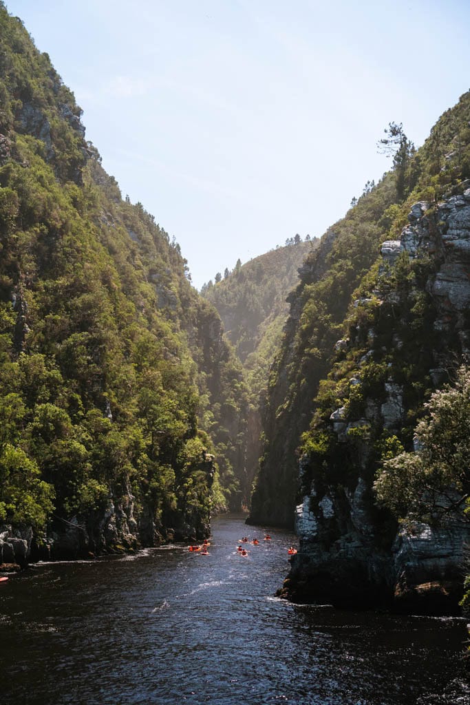 Activiteiten Zuid-Afrika kosten - Tsitsikamma National Park Kajak Lili Tour 
