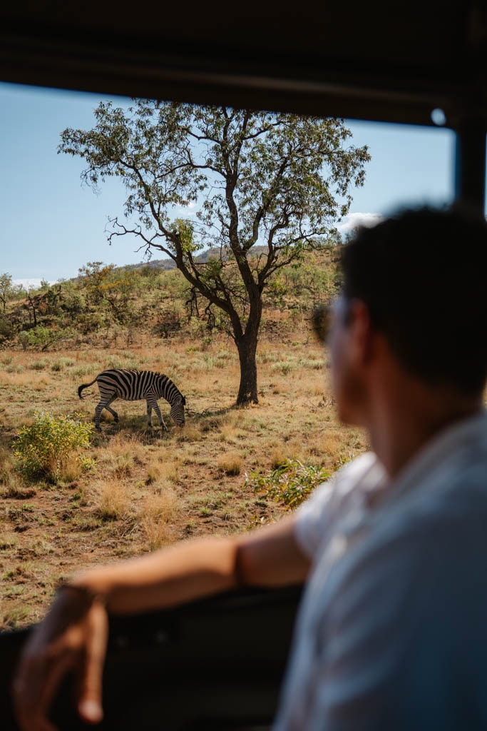 Beste reistijd voor een rondreis Zuid-Afrika plannen 