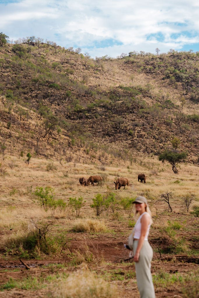 Bush safari in Pilanesberg in Zuid-Afrika