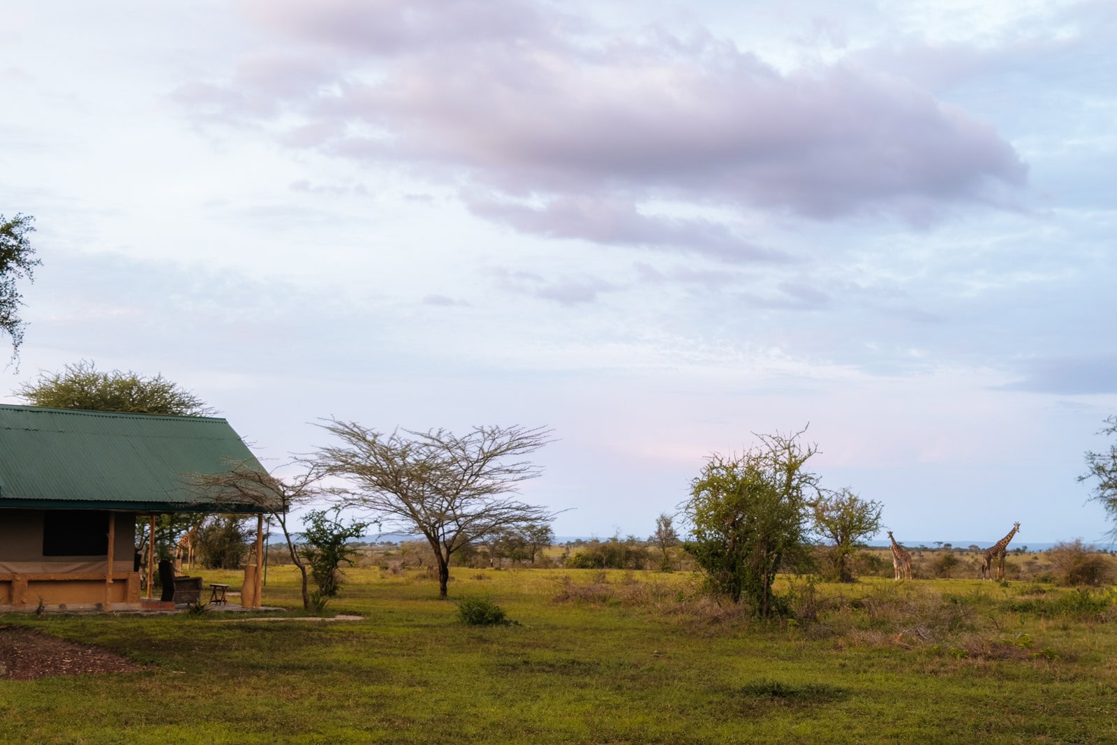 Accommodaties Tanzania Nomads