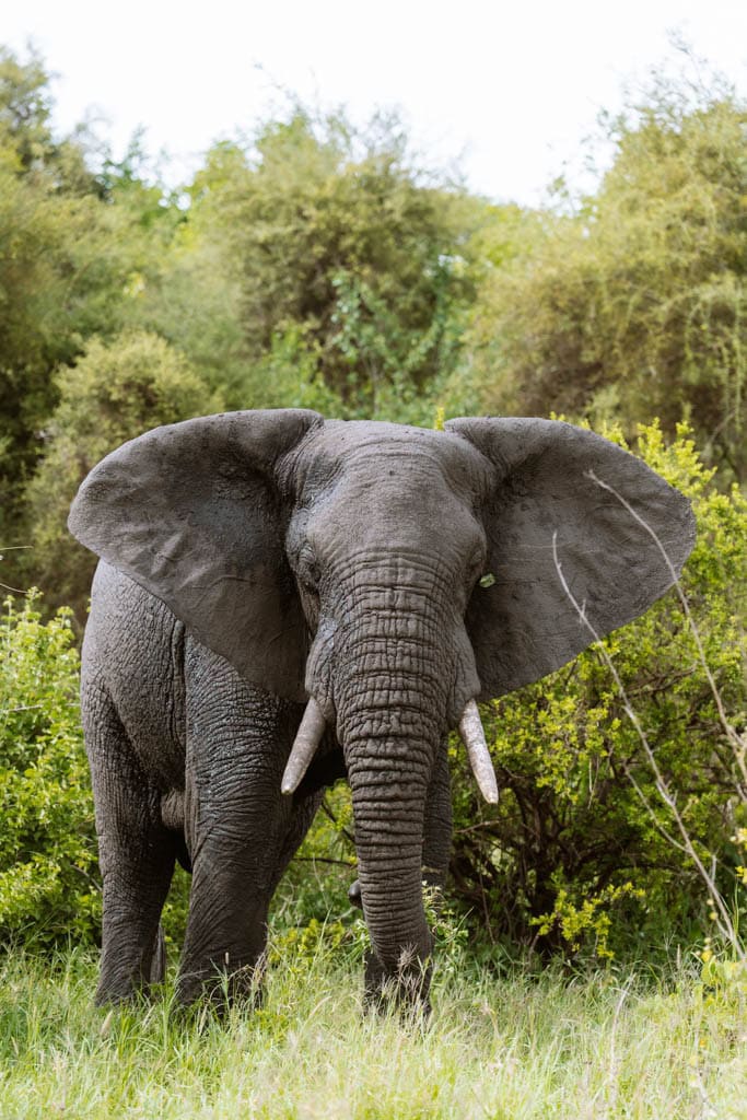 Activiteiten Tanzania Nomads 