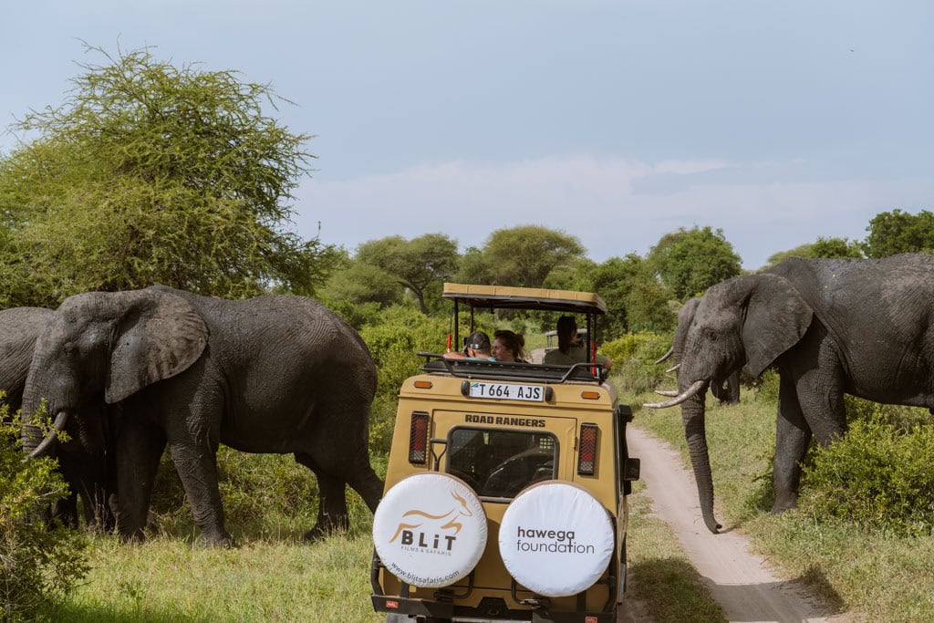 Met gids of zelfstandig reizen in Tanzania 