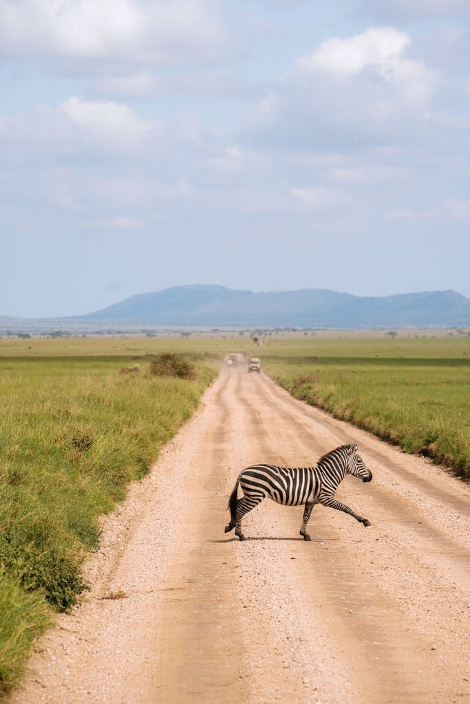 Safari in de Serengeti in Tanzania 