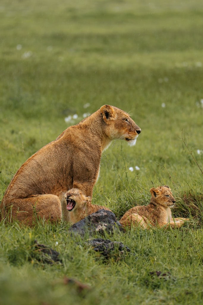 Self drive roadtrip met Tanzania Nomads 