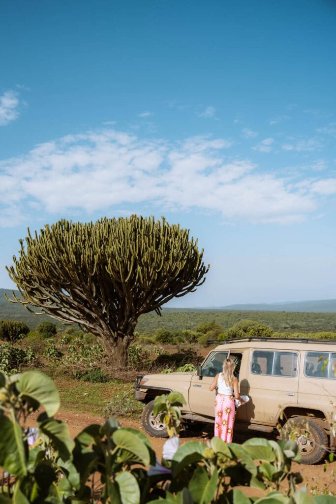 Self drive roadtrip met Tanzania Nomads 