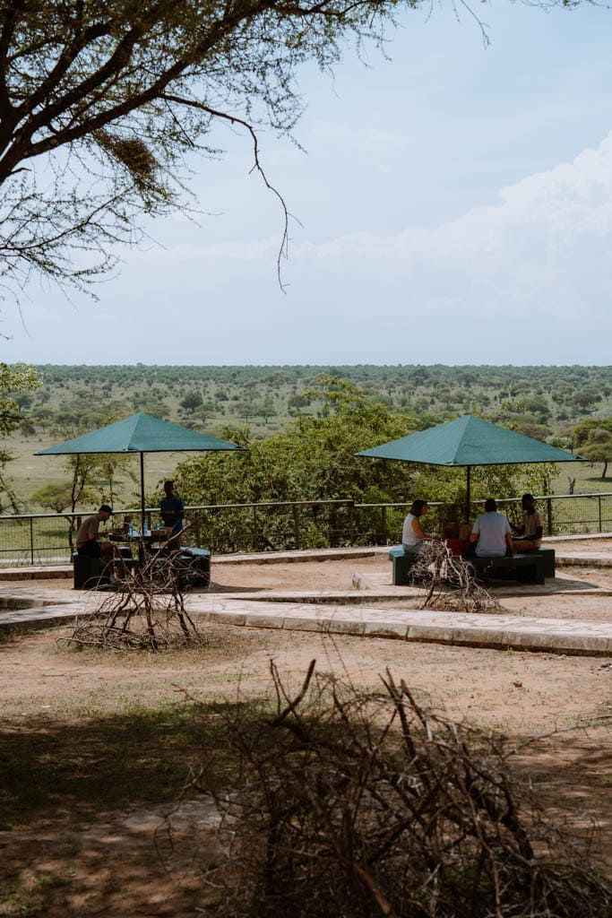 Tips Tarnagire National Park 