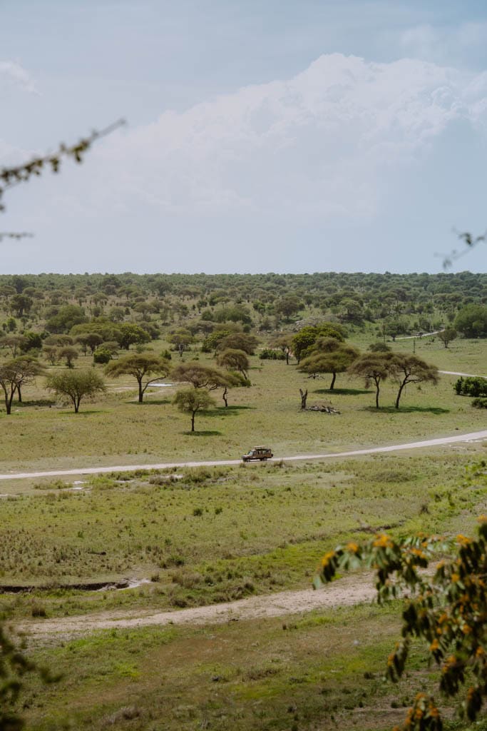 Tips safari Tarangire National Park