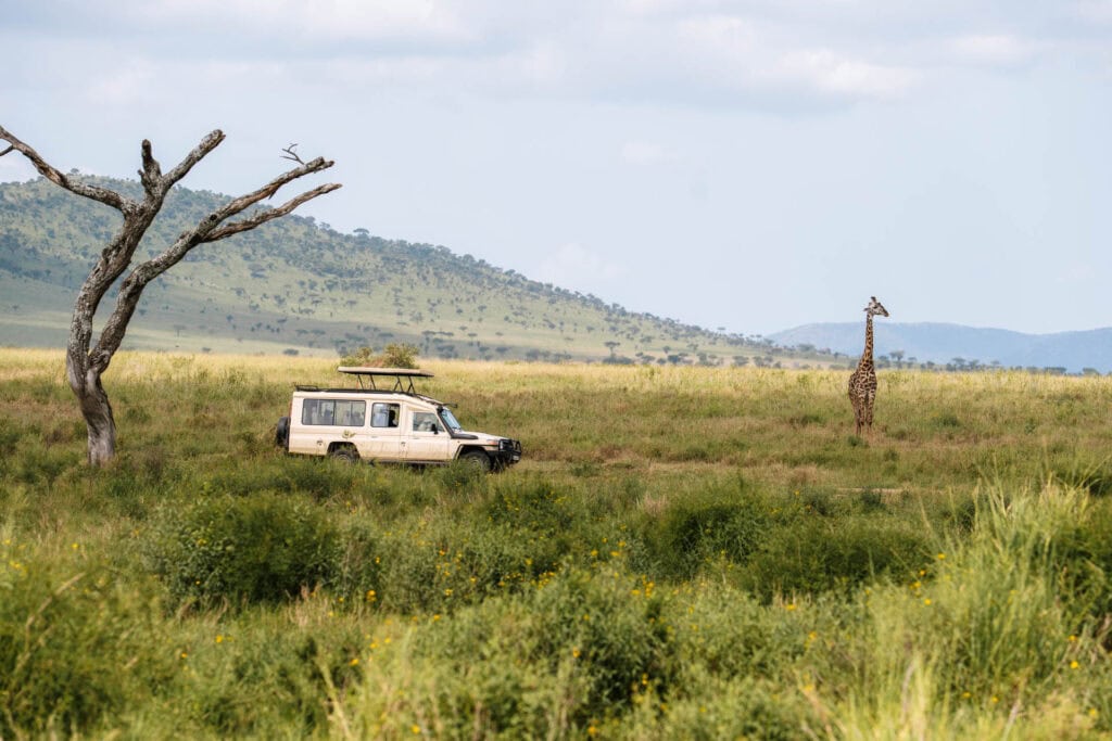 Safari in de Serengeti in Tanzania