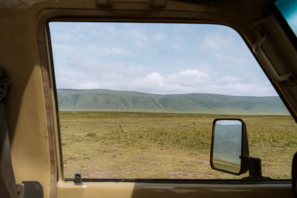 Tips voor een safari in de Tips zelf rijden in de Ngorongoro krater in Tanzania 