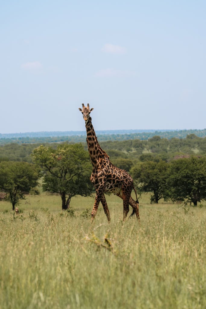 Tips zelf regelen reis Tanzania 