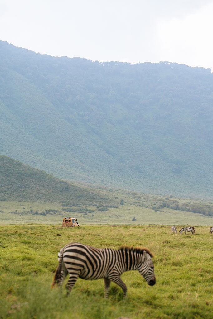 Tips zelf rijden in de Ngorongoro krater in Tanzania 