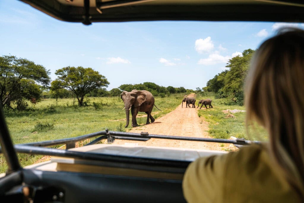 Ervaring zelf rijden tijdens safari in de Serengeti in Tanzania 