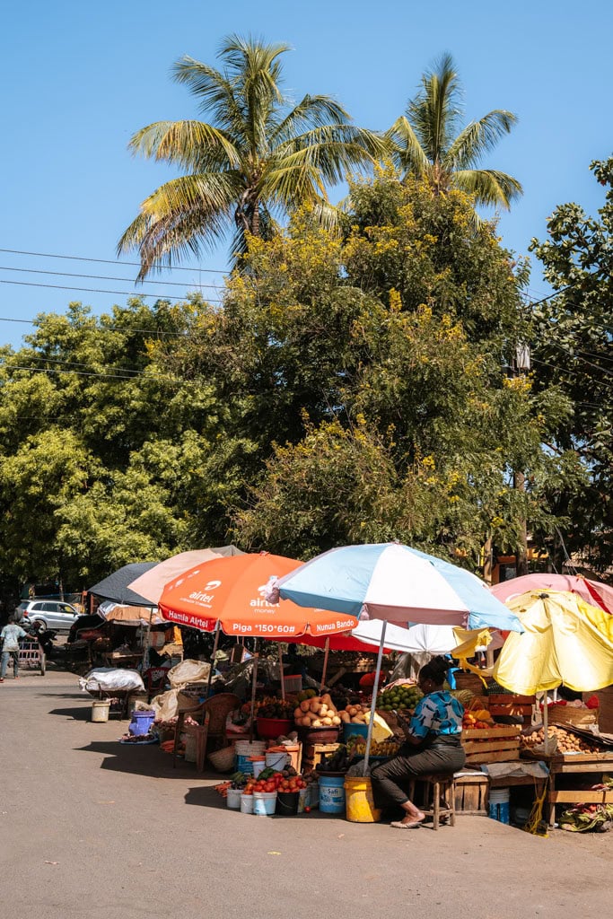 Laatste bestemming route Tanzania: Moshi