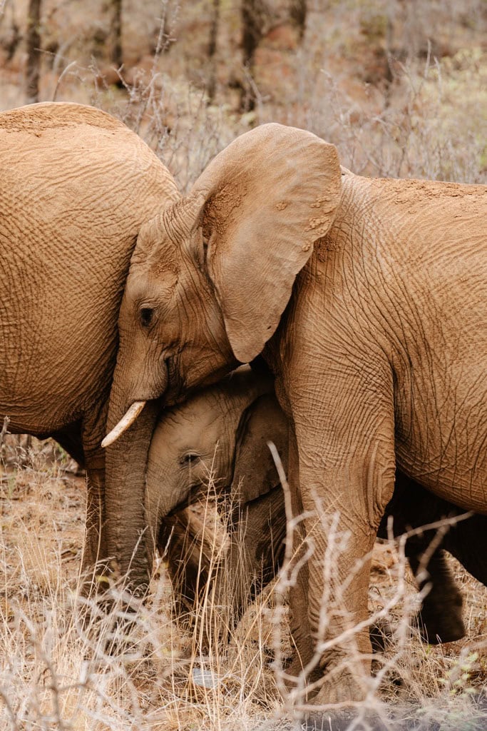 Reisfoto's bewerken met presets 